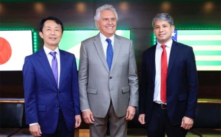 Goiás e Japão avançam em acordo para exploração e processamento de terras raras