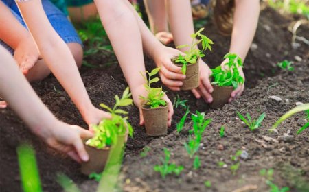 Educação Ambiental: formando cidadãos conscientes