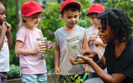 Educação Verde: Plantando a semente da consciência ambiental