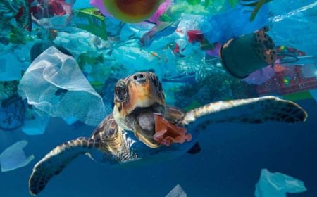 O Impacto da poluição plástica nos oceanos