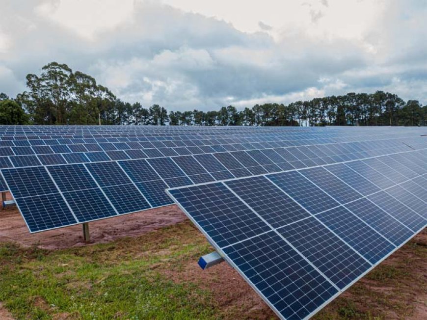 96% da energia consumida pelos restaurantes McDonald’s são de fontes renováveis
