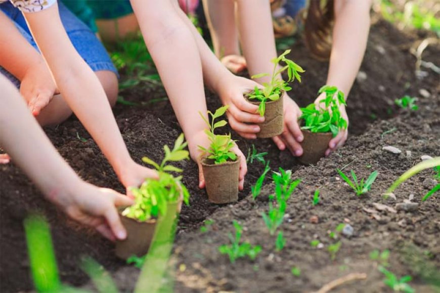 Educação Ambiental: formando cidadãos conscientes