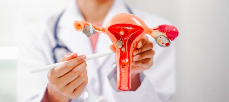 Câncer ginecológico atinge milhares de mulheres e exige atenção precoce