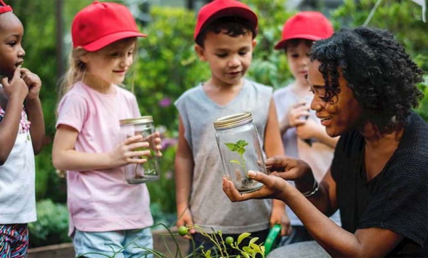 Educação Verde: Plantando a semente da consciência ambiental