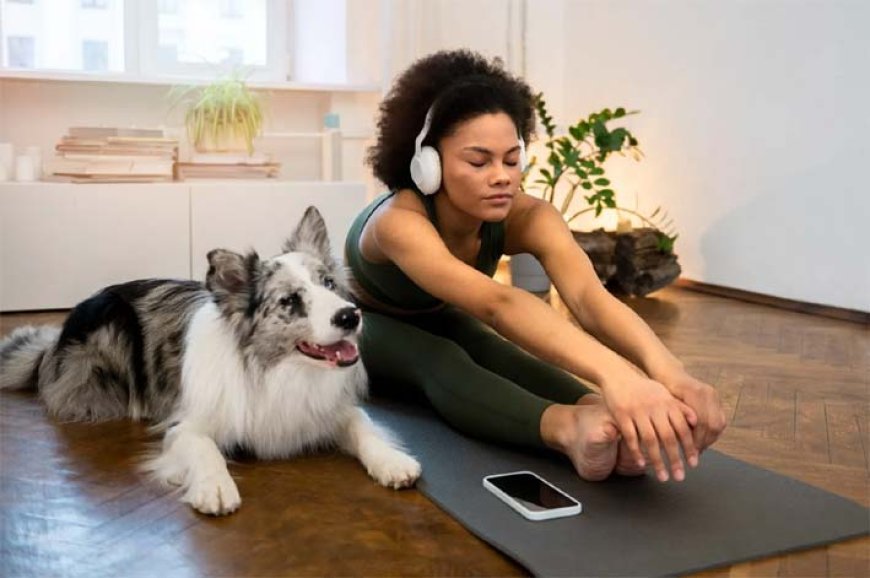 Risada, música, meditação e pets: prazeres simples que podem proteger seu coração
