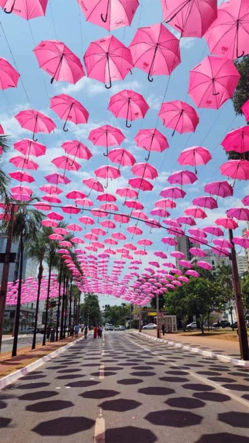 SBM-GO lança Campanha Outubro Rosa com passeio ciclístico e "Mamareta"