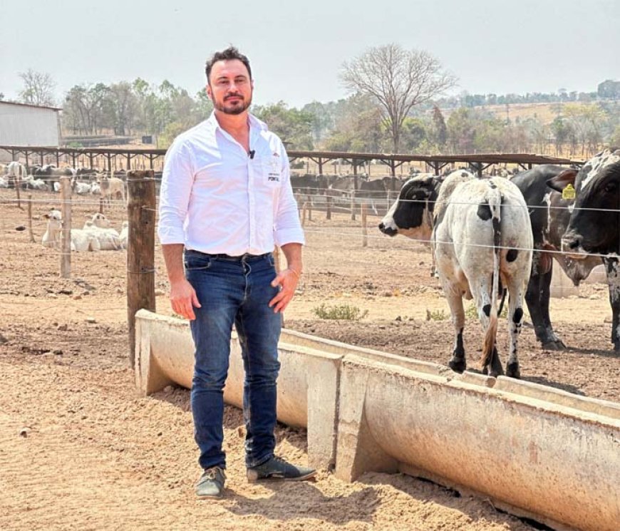 Com taxa de juros em 19%, modelo tradicional de pecuária extensiva perde competitividade e empurra produtores ao endividamento, alerta especialista