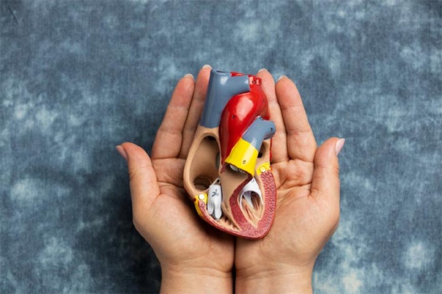 Novas diretrizes para colesterol e pressão arterial: como elas mudam o cuidado com o coração
