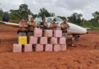 Operação no sudeste do Tocantins termina com seis mortos após confronto