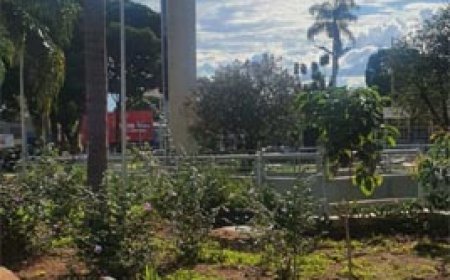 XP celebra 1 ano do Espaço XP em Goiânia com avanço no segmento de alta renda