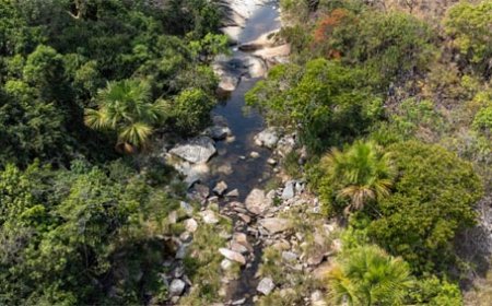 Goiás seleciona 20 cidades para planos de adaptação às crises climáticas