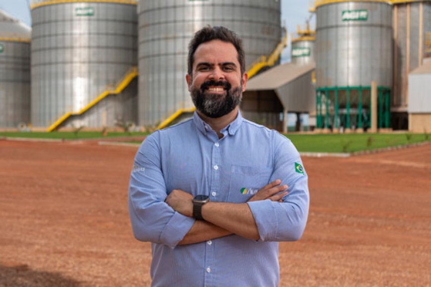 ARTIGO  | Sorgo: a cultura resiliente que fortalece o campo