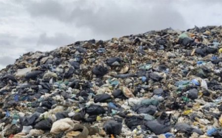 MEIO AMBIENTE: Goiás avança no fim dos lixões e já regularizou quase 74% dos municípios