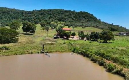 Desaparecimento: Criança de quase 2 anos desaparece em área rural de Doverlândia e mobiliza buscas
