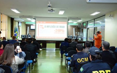 Audiência pública debate estratégias para prevenção e combate aos incêndios em vegetação