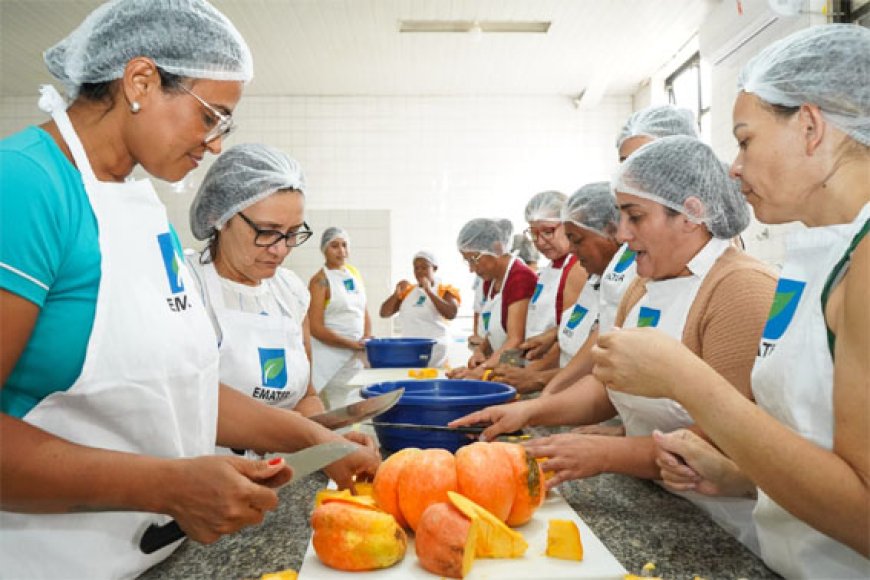 AGRICULTURA: Agro é Social beneficia 644 produtores rurais com mais de R$ 3 milhões em crédito