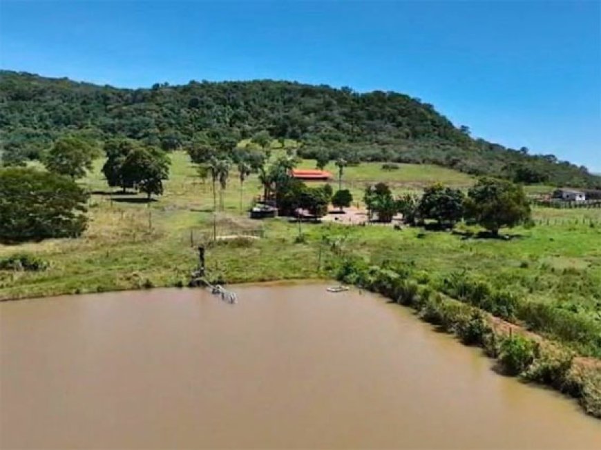 Desaparecimento: Criança de quase 2 anos desaparece em área rural de Doverlândia e mobiliza buscas