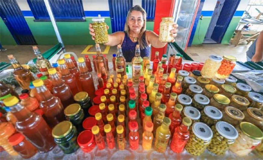 Agro é Social fortalece agricultura familiar e amplia segurança rural no Norte de Goiás